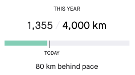 strava goals