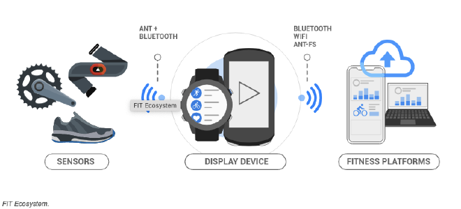 FIT ecosystem diagram showing all the devices that FIT works with and for. On the left of the image it shows a collection of sensors. They communicate with a device, pictured center. To which the device picture center, communicates out to fitness platforms, pictured right. 