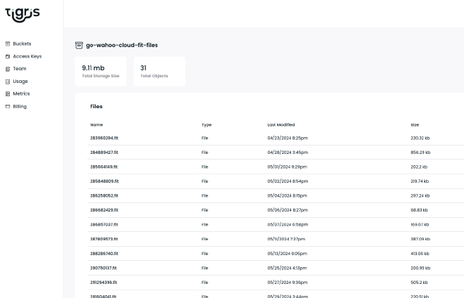 tigris object storage dashboard screenshot